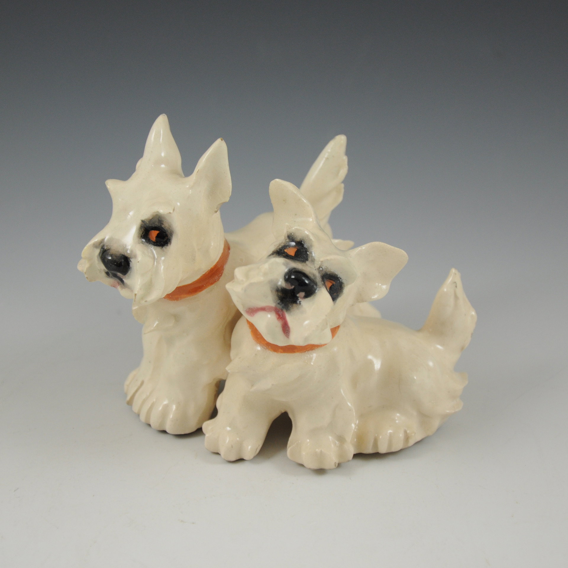 Paar West Highland White Terrier Welpen